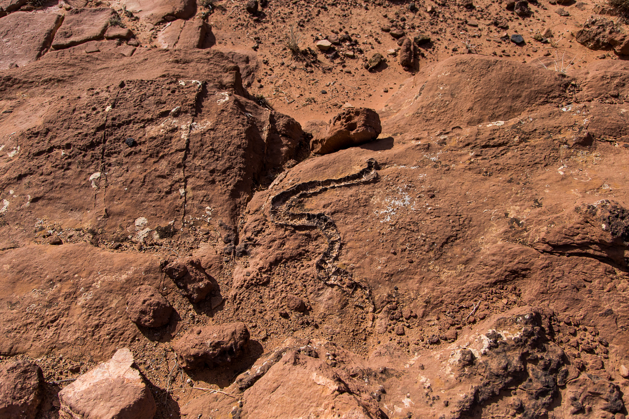 Maroko, zkamenělý had/vulkanická činnost