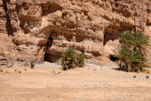 Wadi Tamezrar