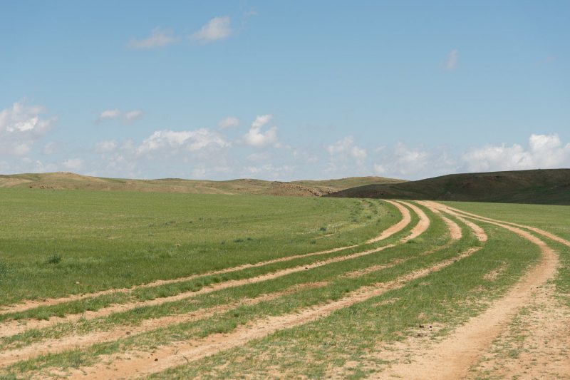 Mongolsko step Mongolia steppe