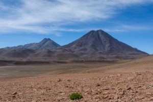 Laguna Lejla, Atacama