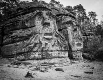 DSC_1017-HDR